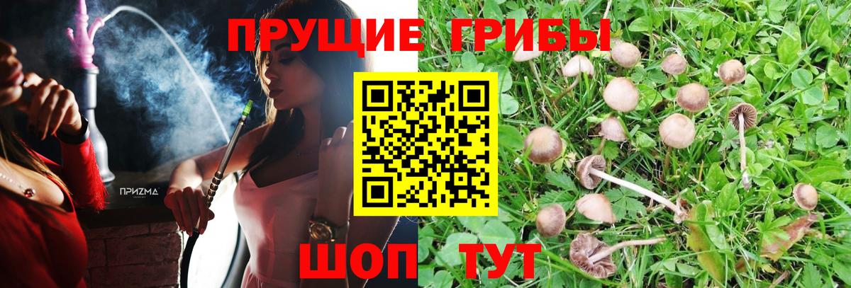 Муравленко  Псилоцибиновые грибы мицелий  магазин продажи наркотиков  Вход с VPN 