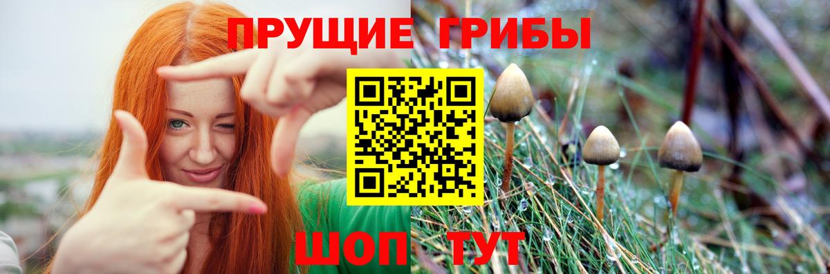 Псилоцибиновые грибы MAGIC MUSHROOMS Муравленко